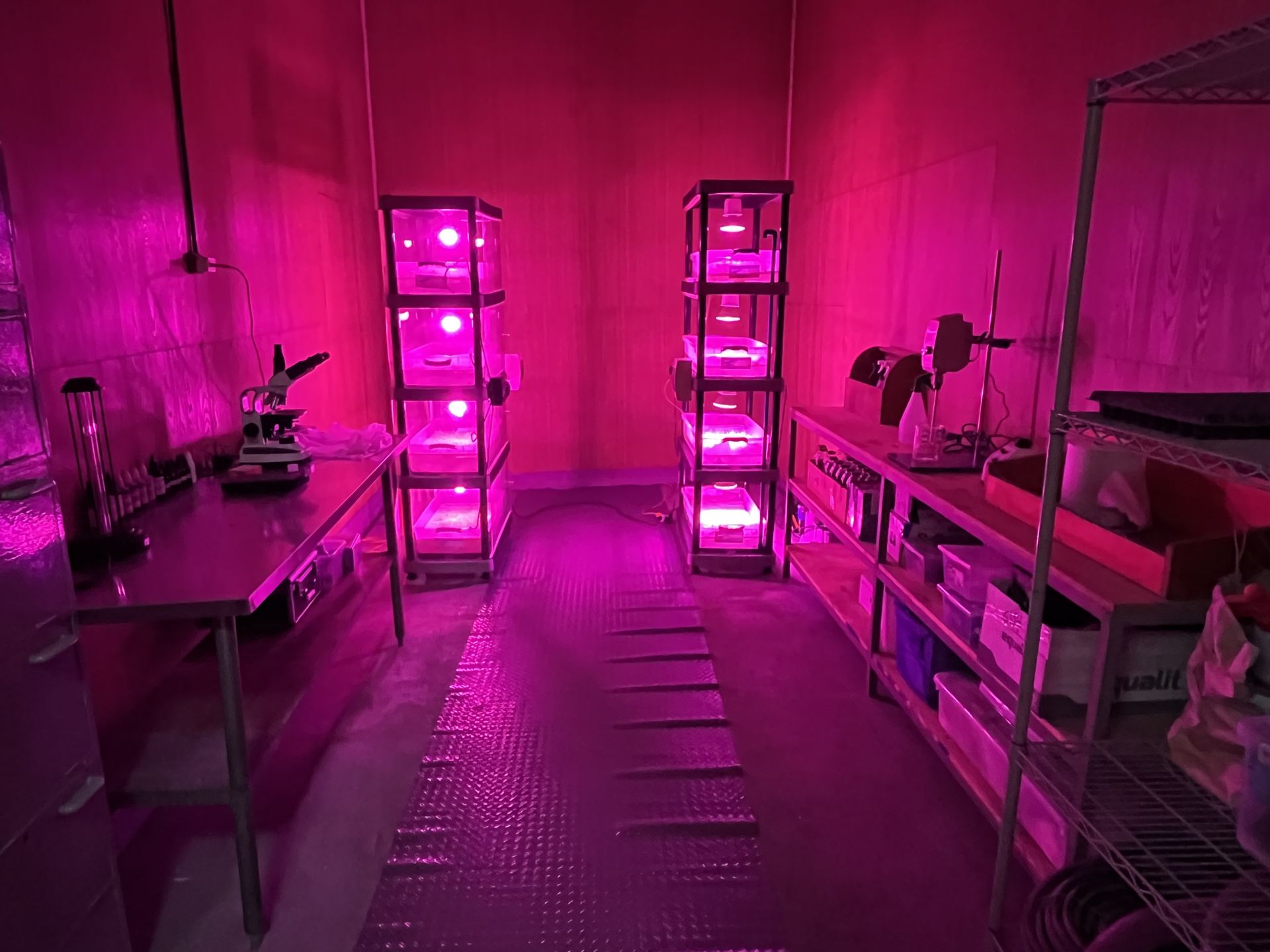 Detalle de la sala de cultivo biotecnológico con LED